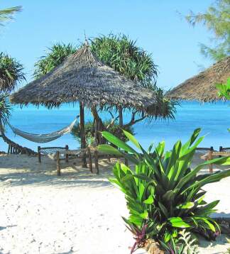 Mosambik Erlebnisreise – Ozean-Safari, Lodge & Strandurlaub
